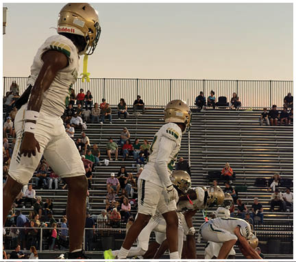 A person wearing a gold football helmet and white jersey is on a field with a clear sky and a fence with spectators in the background. Description generated by AI