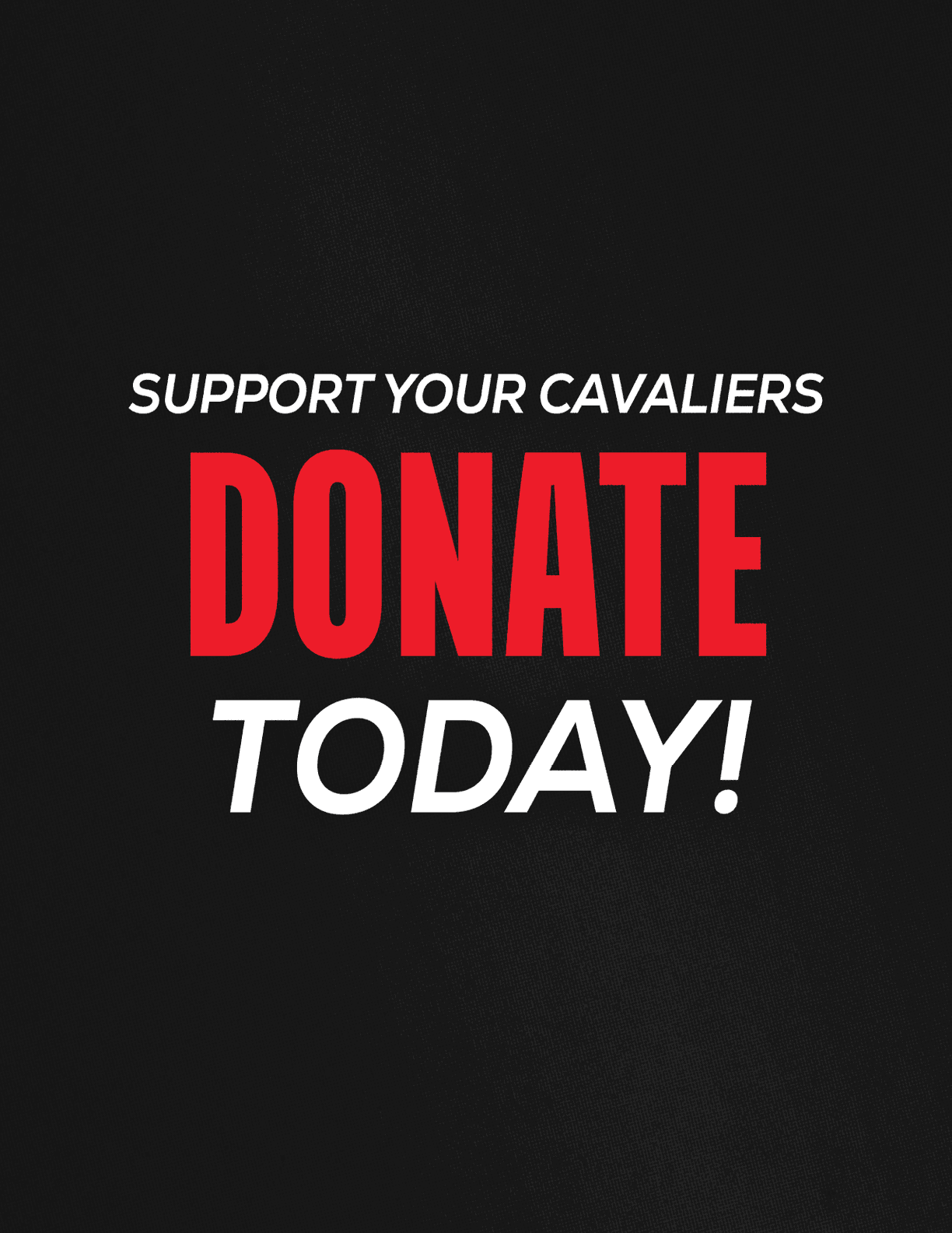 Support your Cardinals advertisement today. Description generated by AI