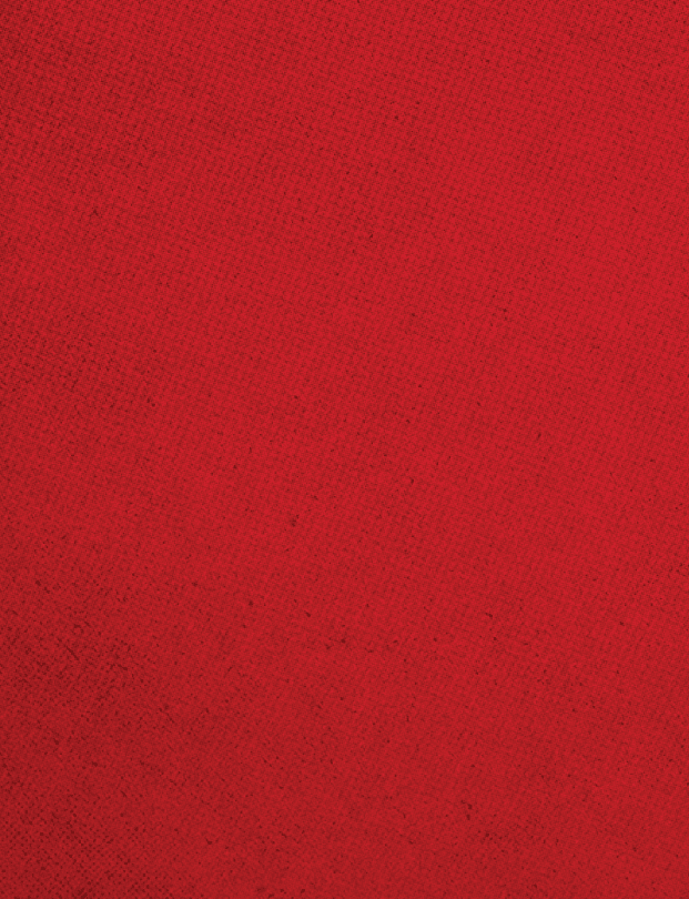 A red cloth with a red border. Description generated by AI