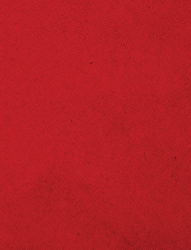 A red cloth with a red border. Description generated by AI