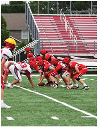 Children wearing helmets and football uniforms are lined up on a green field preparing for a play during a game. Description generated by AI