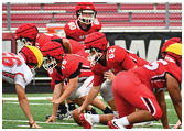 Several people in football uniforms and helmets are positioned on a field, preparing for a play during a game. Description generated by AI