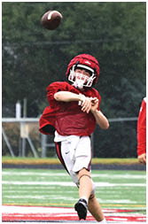 A football is captured mid-air against a blurred background of green foliage. Description generated by AI