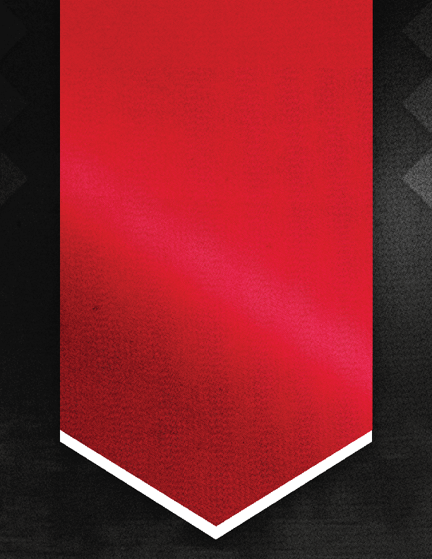 A red ribbon with a white border at the bottom hangs vertically against a dark textured background. Description generated by AI