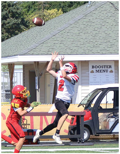 Two people in football uniforms are actively reaching for a football in mid-air on a field with spectators in the background. Description generated by AI