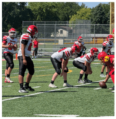 People in football uniforms are lined up on a field preparing for a play during a game on a sunny day. Description generated by AI