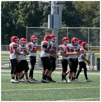 A group of people wearing red helmets and white jerseys with black pants are standing together on a green football field. Description generated by AI