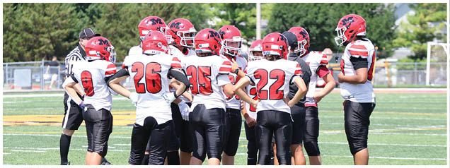 A group of adults wearing red helmets and white jerseys with black pants are gathered on a football field with a referee standing nearby. Description generated by AI