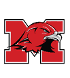 A red and black bird with a yellow beak. Description generated by AI