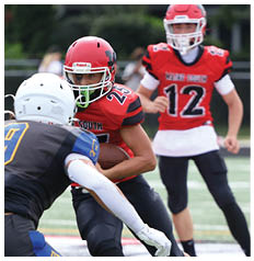 Two people in football uniforms are engaged in a play on a field, with one holding the ball and the other reaching out to tackle. Description generated by AI