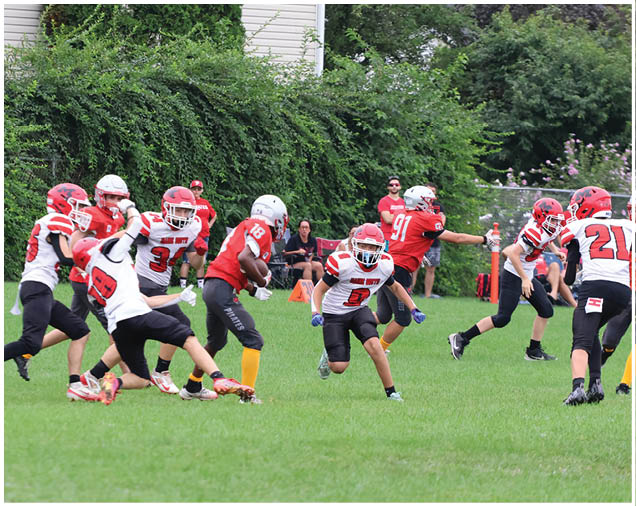 Adults wearing football helmets and uniforms are actively playing a game on a grassy field with dense green foliage in the background. Description generated by AI