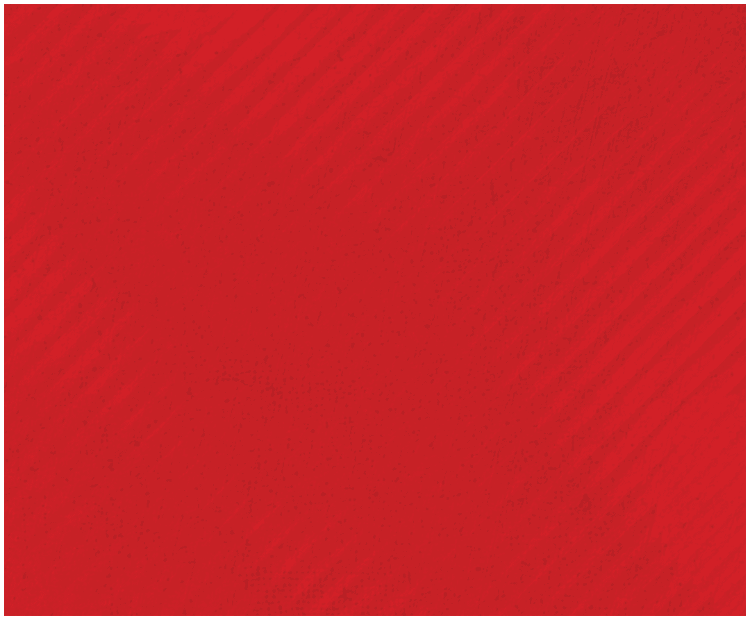 A red and black striped cloth. Description generated by AI