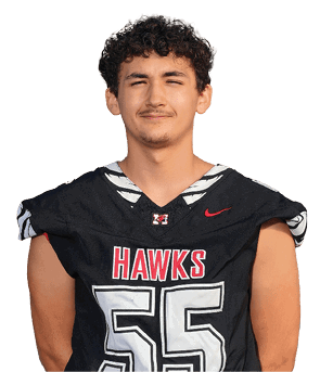 Person wearing a black sports jersey with the word “HAWKS" in red and white letters and a small red Nike logo. Description generated by AI