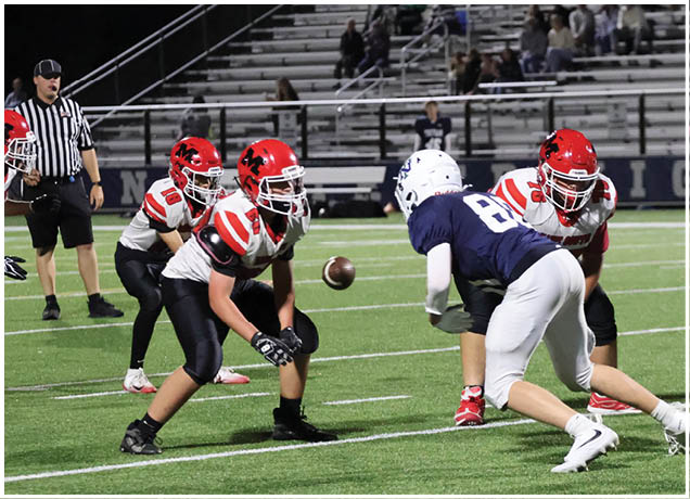 Adults in football uniforms are actively engaged in a play on a well-lit field with a football mid-air between them. Description generated by AI