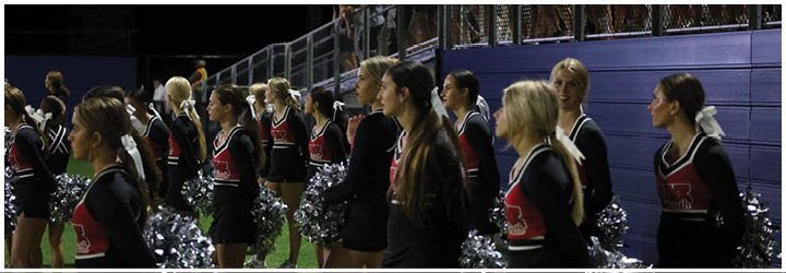 A group of people in matching cheerleading uniforms stand in a line holding silver pom-poms on a sports field near bleachers. Description generated by AI