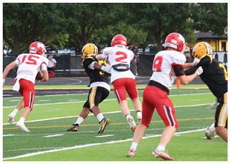 People wearing red and white uniforms and people wearing black and yellow uniforms are playing football on a field. Description generated by AI