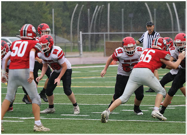 People wearing red and white football uniforms are engaged in a play on a green turf field. Description generated by AI