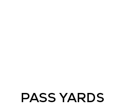 pass yards,22