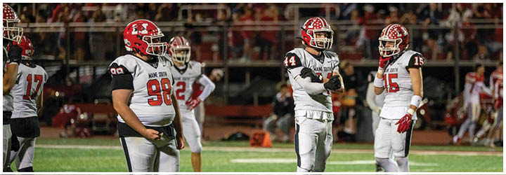 People in sports uniforms and coaches are actively engaged on the sidelines of a football field during a game, with a crowd visible in the stands behind them. Description generated by AI