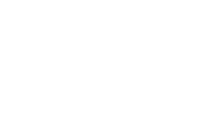 CHICAGO SUN TIMES