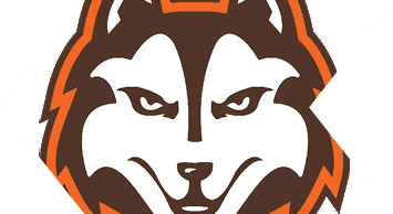 A stylized graphic of a fierce husky dog's face with bold brown, white, and orange outlines. Description generated by AI
