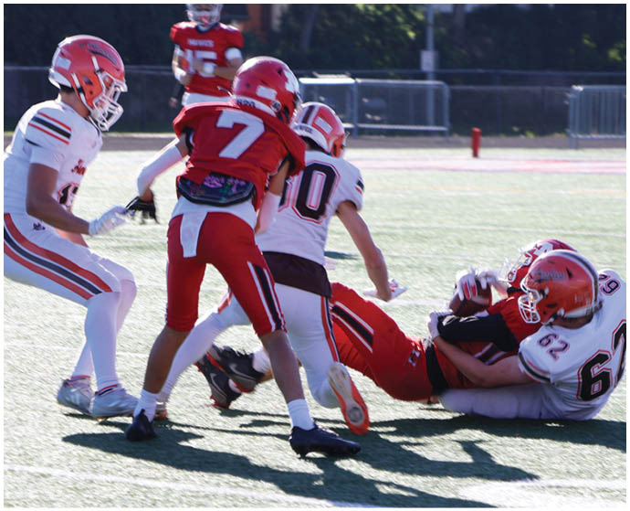 Children in football uniforms are actively engaged in a play on a sunlit field with some players tackling and others preparing to move. Description generated by AI