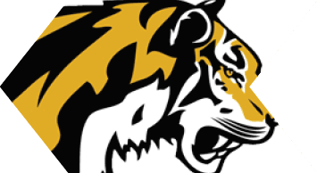 A stylized graphic of a tiger's head in black and gold colors with sharp, angular lines. Description generated by AI