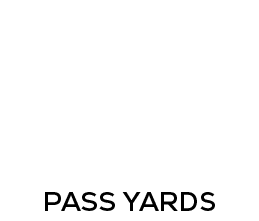 pass yards,29