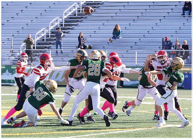 A group of young people in football uniforms are actively playing on a field with a football mid-air and a mostly empty stadium in the background. Description generated by AI