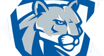 A stylized gray cougar head with blue eyes is set against a blue shield-shaped background. Description generated by AI