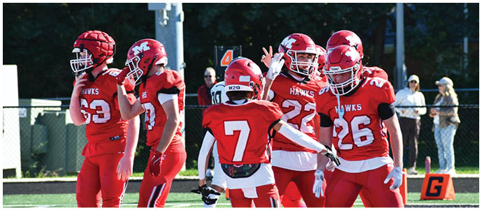 A group of people wearing red football uniforms with helmets are standing and interacting on a football field. Description generated by AI