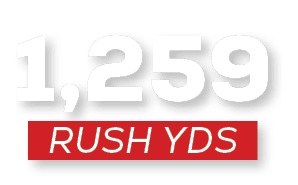 RUSH YDS,1,25
