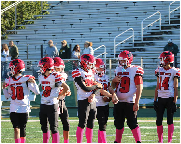 A group of people wearing red and white football uniforms with pink socks stand on a football field with empty bleachers in the background. Description generated by AI