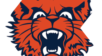 A fierce stylized orange wildcat head with sharp teeth bared and dark blue outlines. Description generated by AI