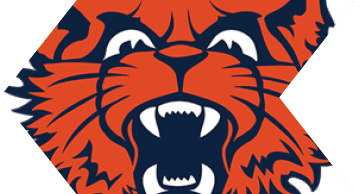 A stylized roaring wildcat head in orange and dark blue with sharp teeth and fierce expression. Description generated by AI