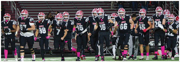 A group of people wearing matching black sports uniforms with red and white helmets stand in a line on a field with empty bleachers in the background. Description generated by AI