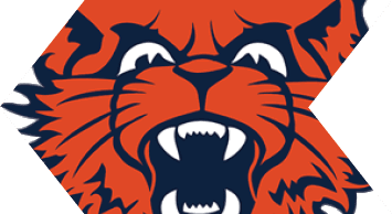 A stylized roaring bear head logo with sharp teeth and a bold orange and dark blue color scheme. Description generated by AI