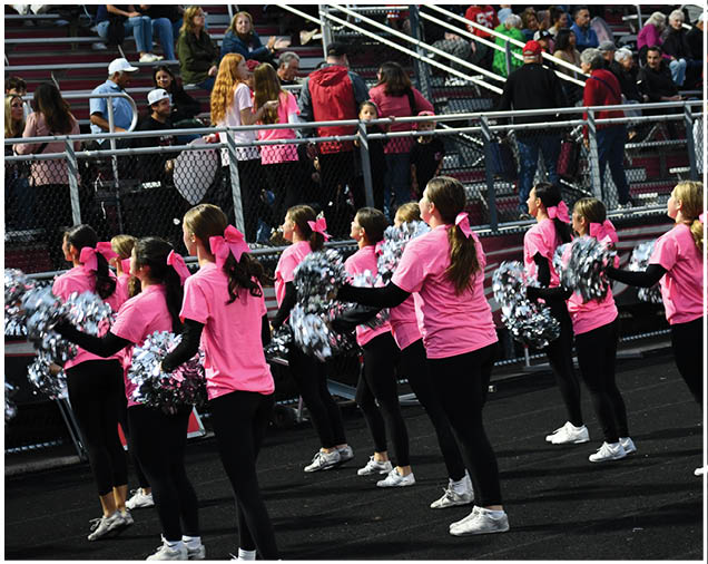 A group of people wearing matching pink shirts and black pants perform a cheer routine with silver pom-poms on a track in front of bleachers filled with spectators. Description generated by AI