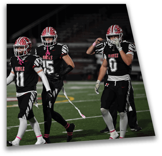 Two people in black football uniforms with red helmets and pink ribbons walk on a football field at night. Description generated by AI