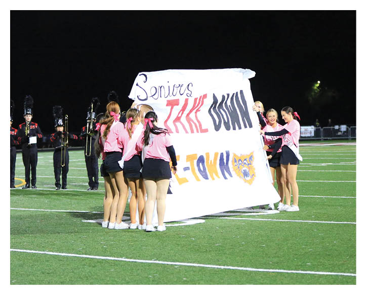 A group of people in pink shirts and black skirts hold a large banner on a sports field while a marching band in black uniforms stands in the background. Description generated by AI