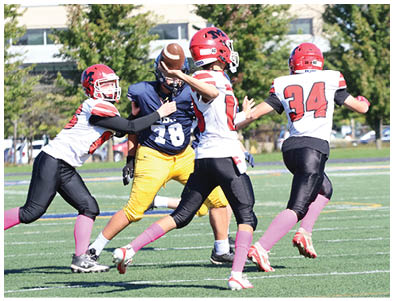 Two people wearing football uniforms with red helmets and pink socks are running on a green field with trees and parked cars in the background. Description generated by AI