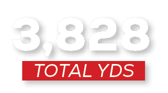 total YDS,3,82