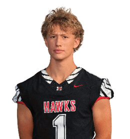 Person with curly hair wearing a black sports jersey with “HAWKS" and the number 1 on the front. Description generated by AI
