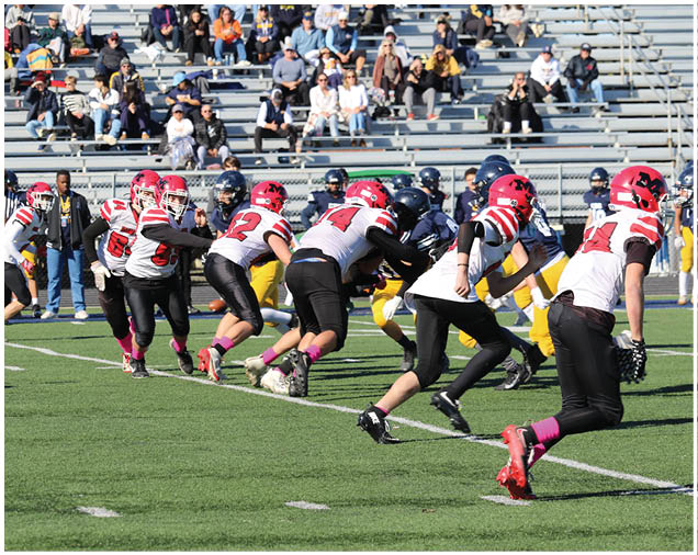 Adults wearing football uniforms with red and black or blue and yellow colors are engaged in a play on a green field with spectators seated in bleachers in the background. Description generated by AI