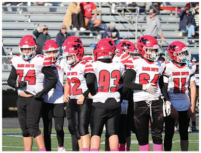 A group of people wearing red helmets and white sports jerseys with red and black details are standing together on a sports field with bleachers in the background. Description generated by AI