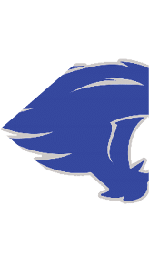 A blue and white logo for Valor. Description generated by AI