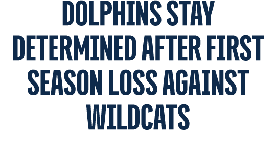 Dolphins stay determined after first SEASON LOSS AGAINST WILDCATS