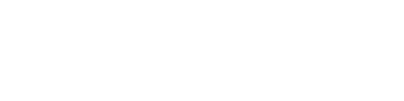 HANGING TOUGH: Dolphins show strong offensive performance despite loss to ThunderWolves