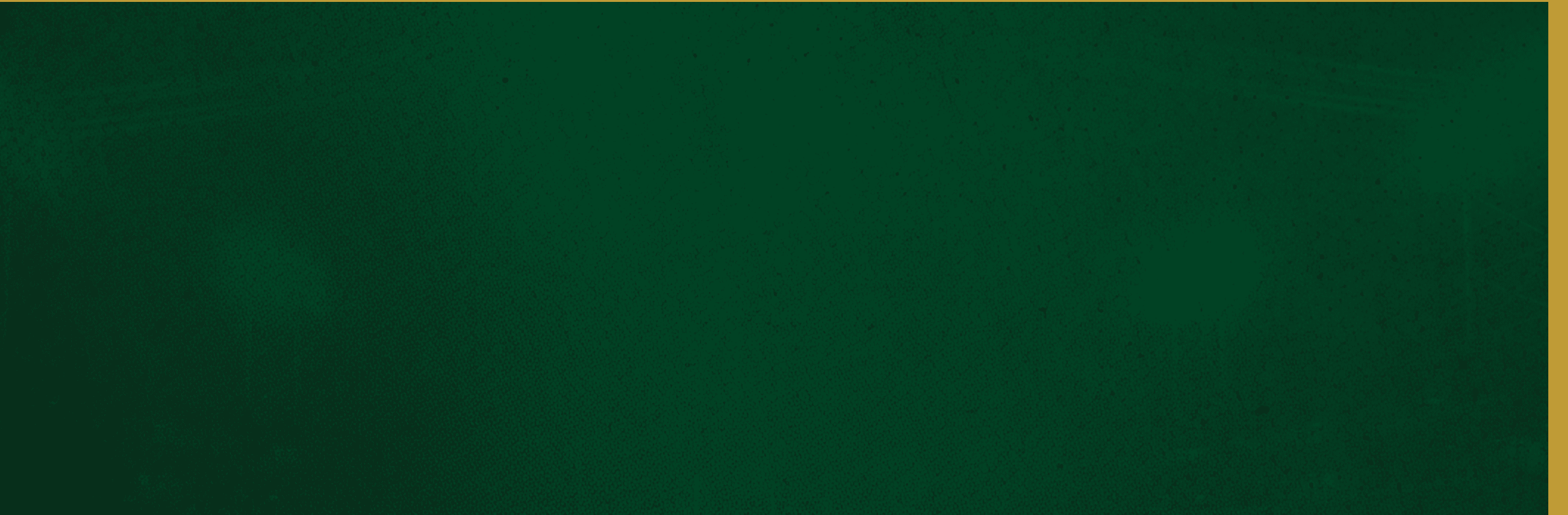 A green wall with a brick pattern. Description generated by AI