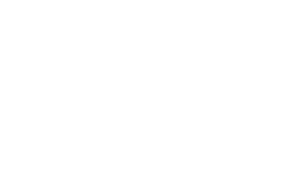 THE DALLAS MORNING NEWS